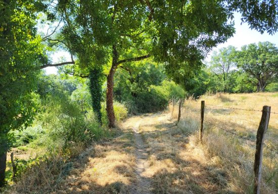 Randonnée « Les Roches »