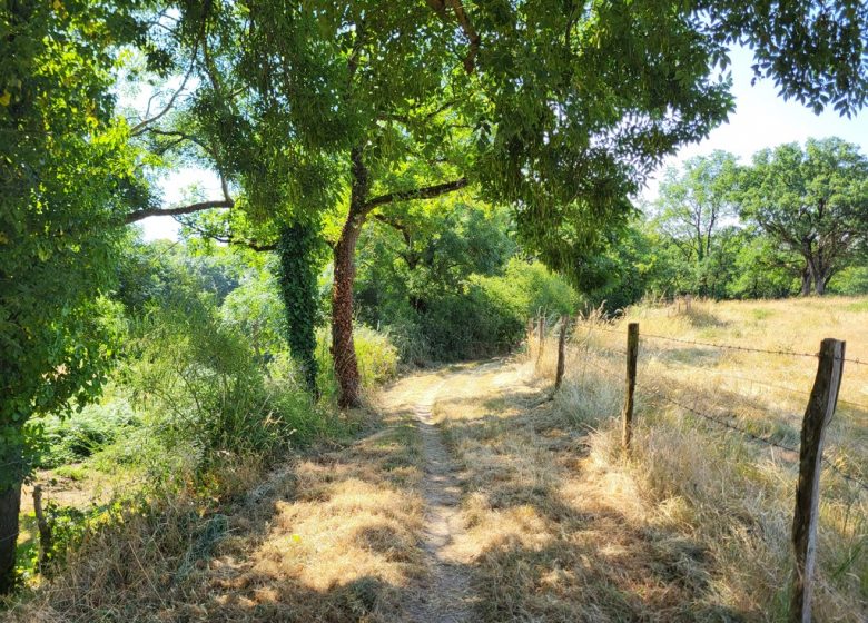 Randonnée « Les Roches »