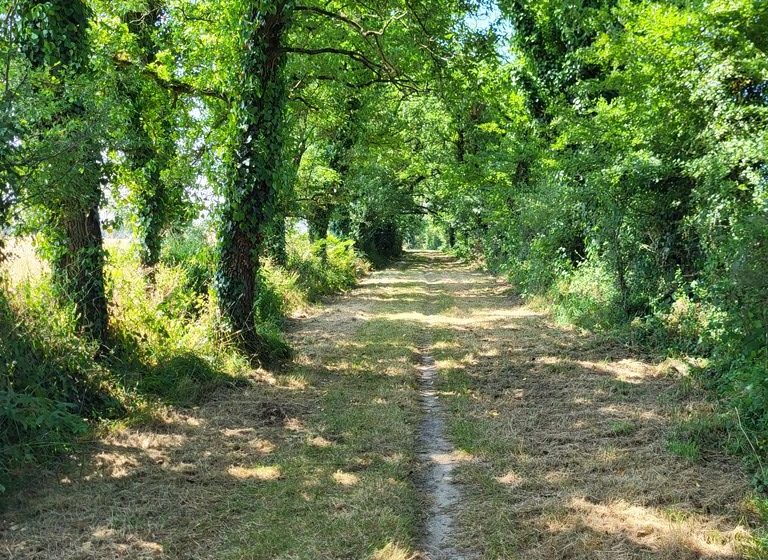 Randonnée « Les Roches »