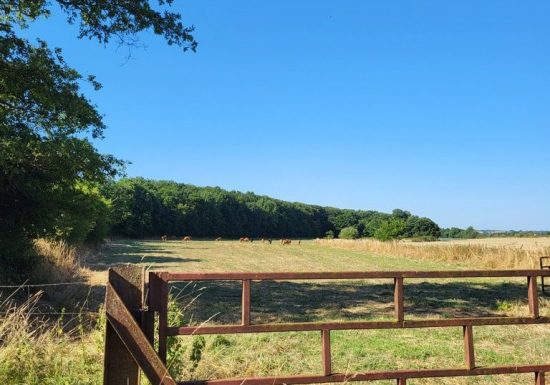Sentier d’interprétation « La Bataille de Torfou »