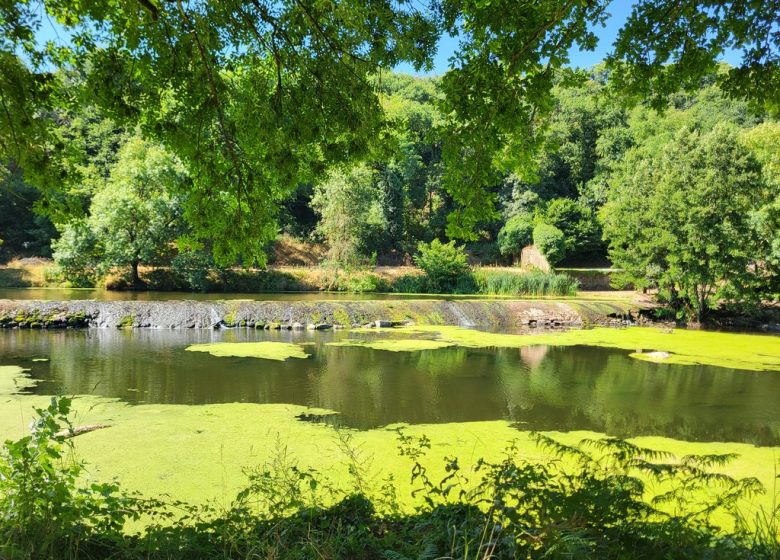 Randonnée « La colonne »