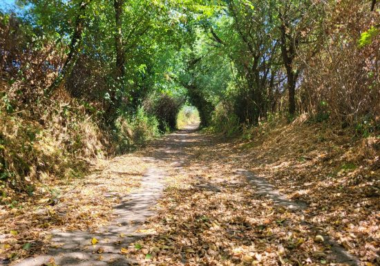 Sentier d’interprétation « La Bataille de Torfou »