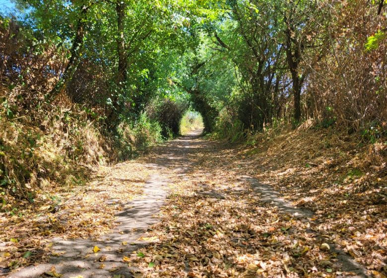 Randonnée « La colonne »