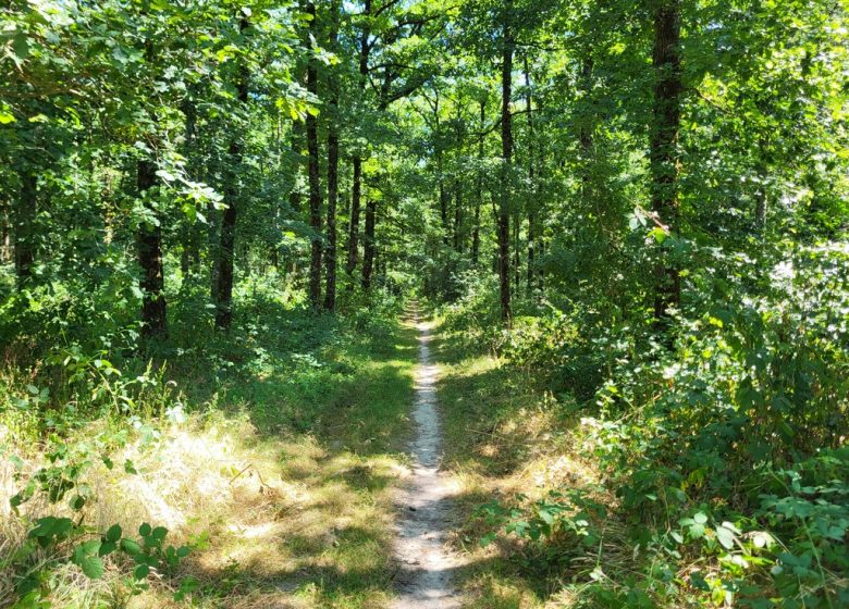 Randonnée « La colonne »