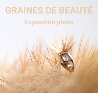 Exposition temporaire « Graines de beauté »