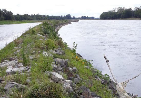 RDV Nature en Anjou – Entre Èvre et Loire avec le Théâtre de l&rsquo;Èvre