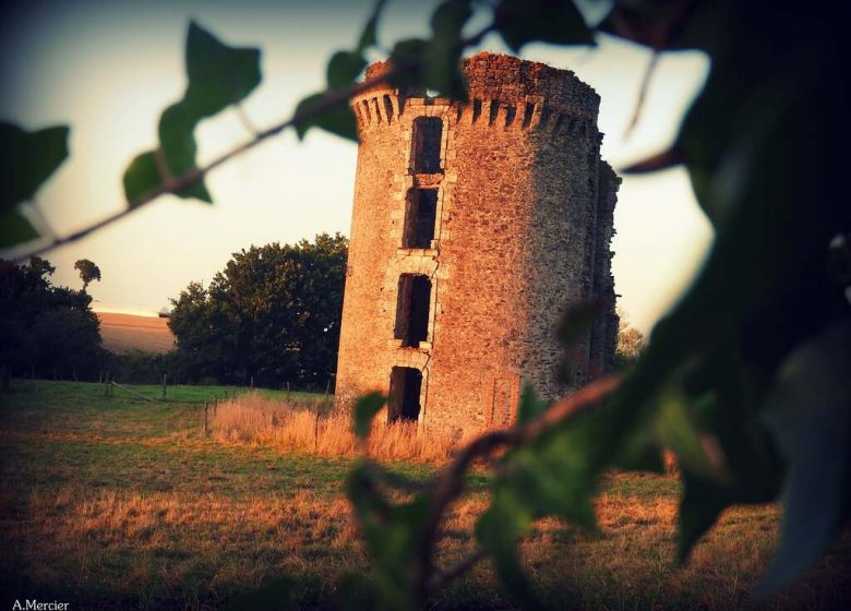 La Tour de la Bouère à Jallais
