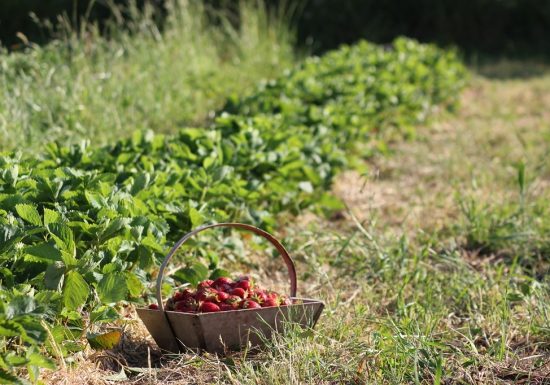 C&rsquo;est quoi ton entreprise 2026 ? Le petit Lérot