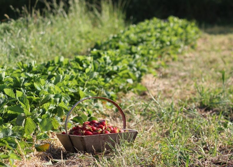 C&rsquo;est quoi ton entreprise ? Le petit Lérot