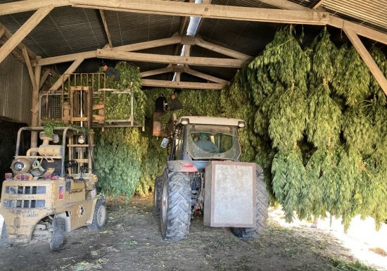 C&rsquo;est quoi ton entreprise 2026 ? Le Panier Bio du Moulin