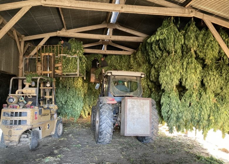 C&rsquo;est quoi ton entreprise ? Le Panier Bio du Moulin