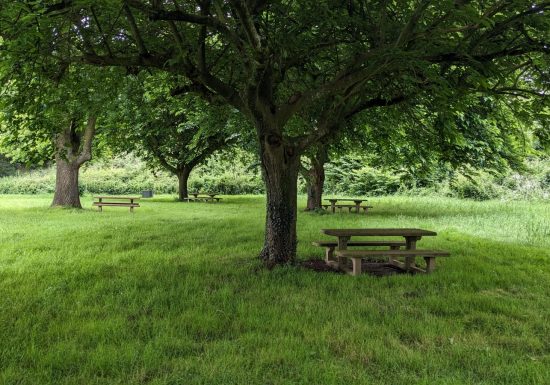 Aire de pique-nique Haute Brin au Fief-Sauvin