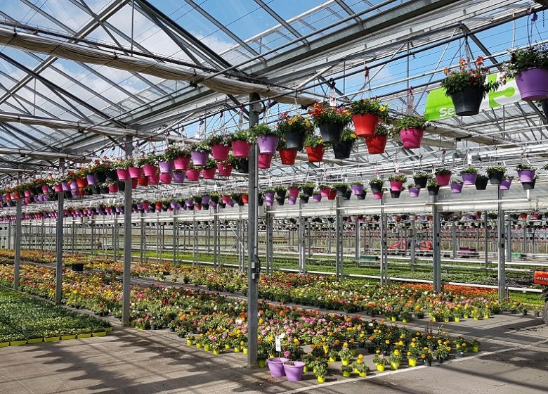 C&rsquo;est quoi ton entreprise ? Jarry Productions Horticoles