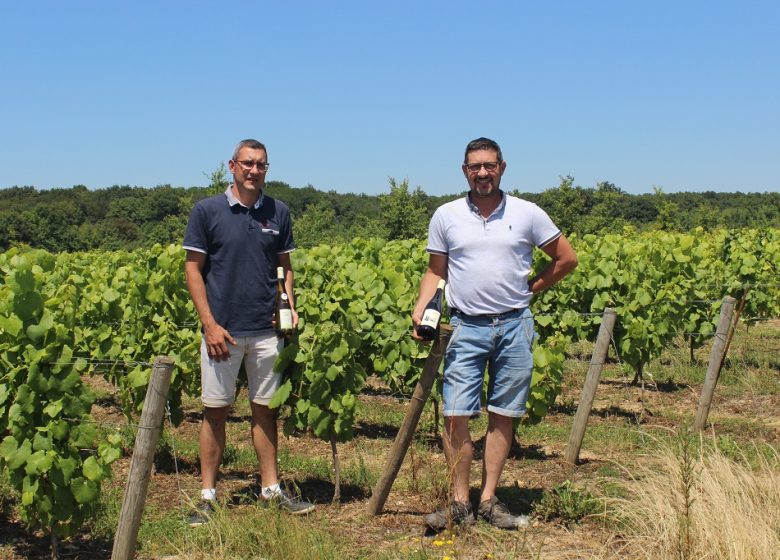 C&rsquo;est quoi ton entreprise ? Domaine de la Colline