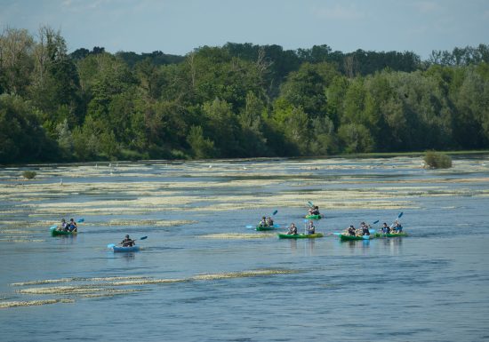 Canoë-kayak à Montjean-sur-Loire avec Pagaies de Loire