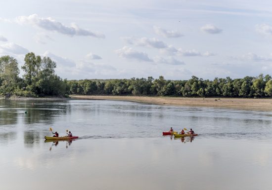 Parcours Canoë Loire N°5 – De Chalonnes-sur-Loire à Saint-Florent-le-Vieil