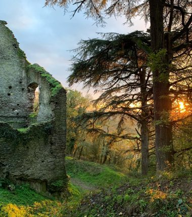 Château de Vieille Cour