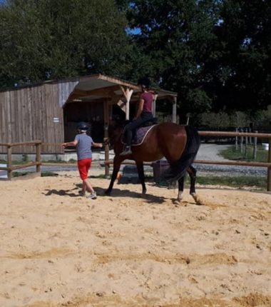 Yoga et cheval à Vignes en Selle