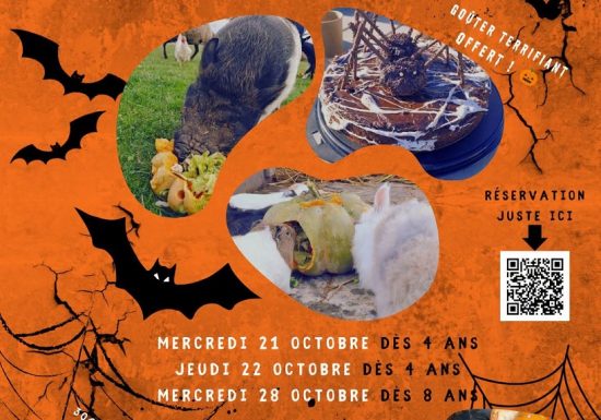 Atelier petit soigneur animalier – Spécial Halloween