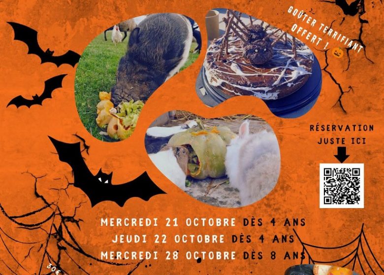 Atelier petit soigneur animalier – Spécial Halloween