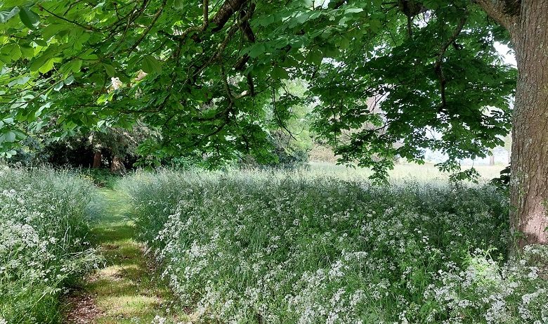 Le Neurodon au Parc du château du Martreil