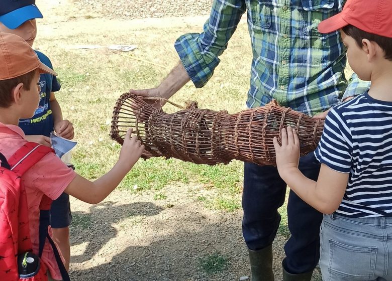 Animation nature 6/12ans à Cap Loire : Les poissons de Loire