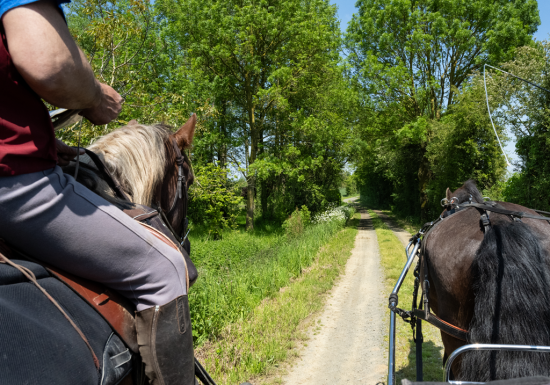 Centre équestre de Melay