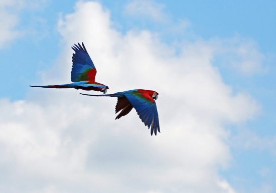 Zoo de la Boissière-du-Doré