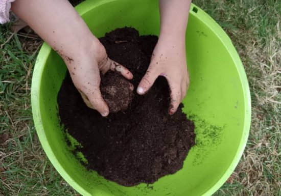 Le jardin des tout-petits au mois de mai