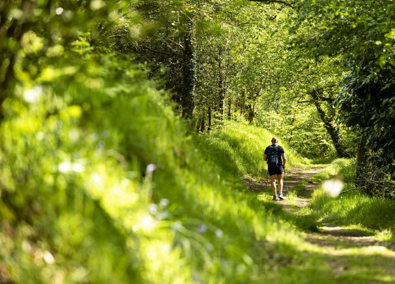 Sentier d’interprétation « Le Rocher du Manis » /!\ Fermé temporairement