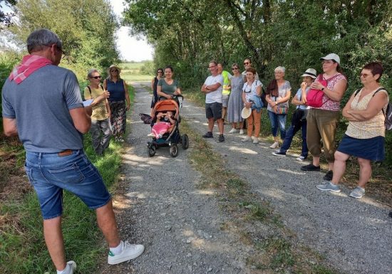 Balade historique et gourmande au Pin en Mauges