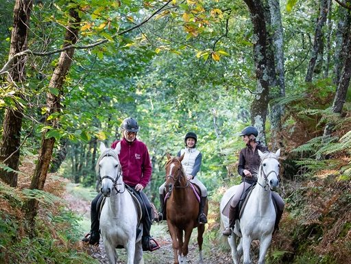 Centre équestre de Melay