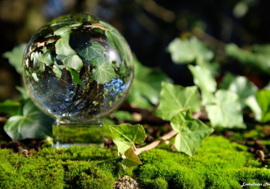 Balade photographique « Spécial lensball » à Liré