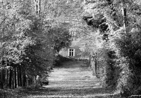 Balade photographique « Spécial noir et blanc » dans le parc de Beaupréau