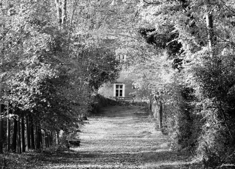 Balade photographique « Spécial noir et blanc » dans le parc de Beaupréau