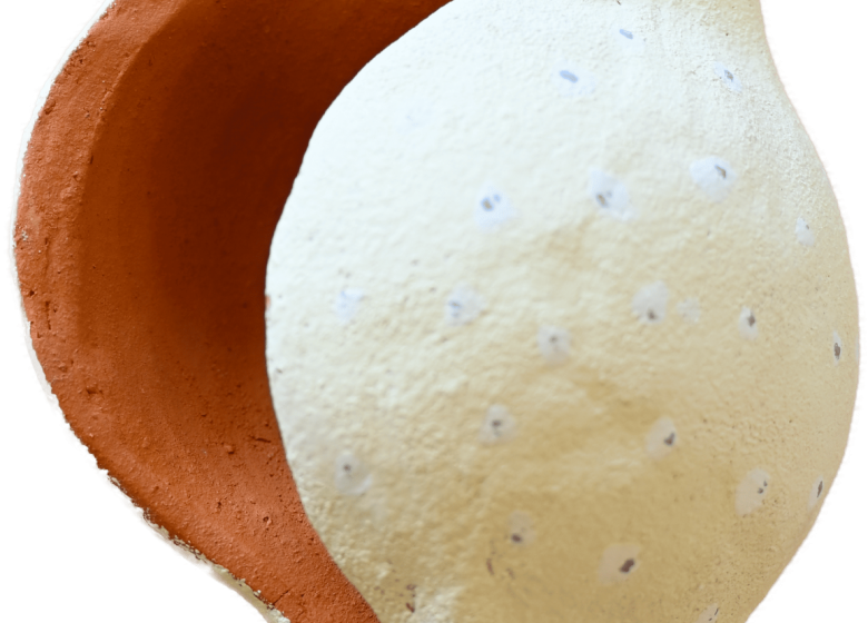 POTERIE | Atelier +8 ans « La boite citron »