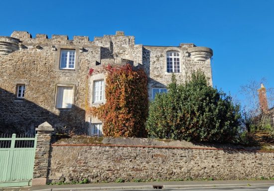 Château et ville fortifiée de Foulques Nerra