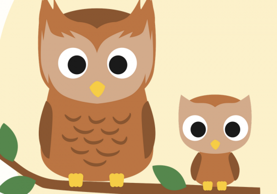 Les Chouettes parenthèses : malle au trésor