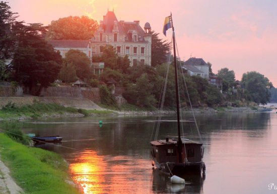 Route des vins – Loire sauvage et corniche angevine