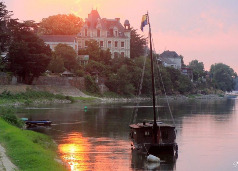 ROUTES DES VINS LOIRE SAUVAGE ET CORNICHE ANGEVINE