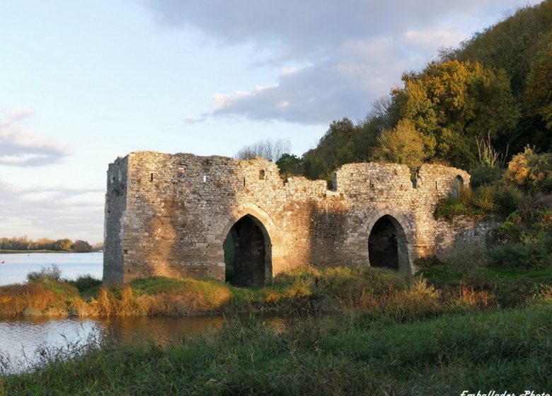Randonnée photographique à Champtoceaux