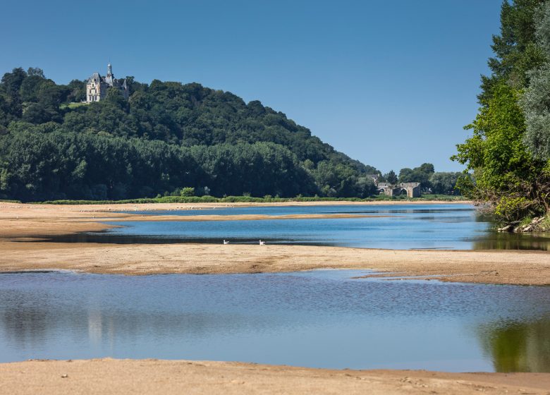 Parcours Canoë Loire N°6