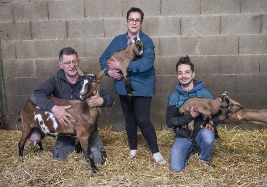 Chevrette des Mauges, fromage de chèvre fermier