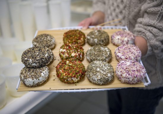 Chevrette des Mauges, fromage de chèvre fermier