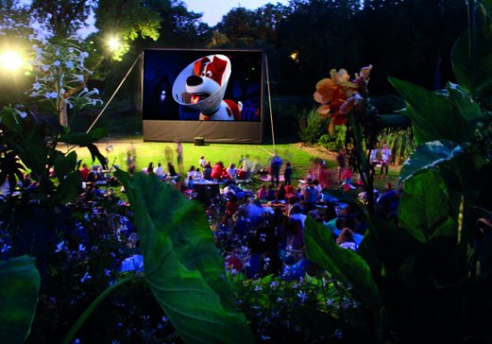 Cinéma en Plein-Air au Jardin Camifolia