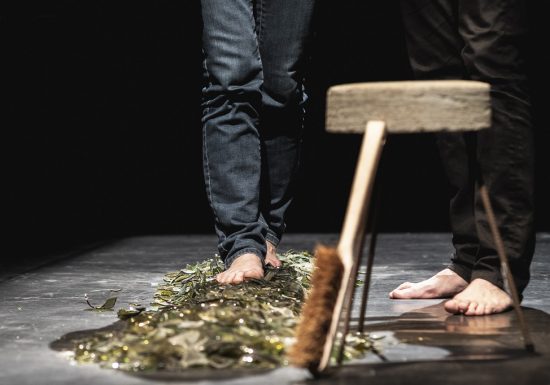 Scènes de pays : Cerebro Compagnie du Faro
