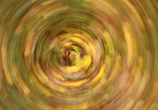 Balade photographique « Spécial lensball » dans le parc de Beaupreau