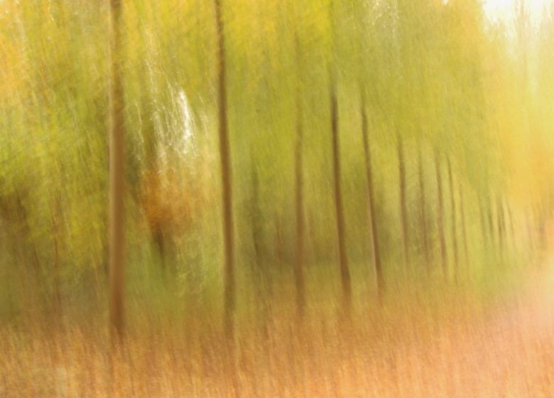 Balade photographique « Spécial lensball » dans le parc de Beaupreau