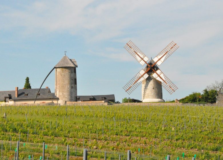 ROUTES DES VINS LOIRE SAUVAGE ET CORNICHE ANGEVINE