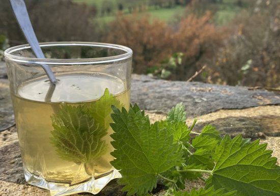 Rendez-Vous Nature en Anjou  : L&rsquo;art des tisanes